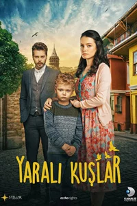 Раненые птицы 164 серия